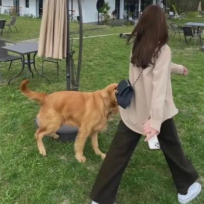 我是一名教师